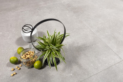 Sfeer fotografie MBI Tuin in Kampen 8-1-2020